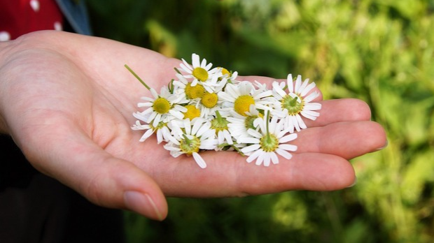 Колика је прегршт