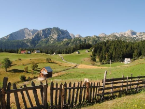 Село поред Таре