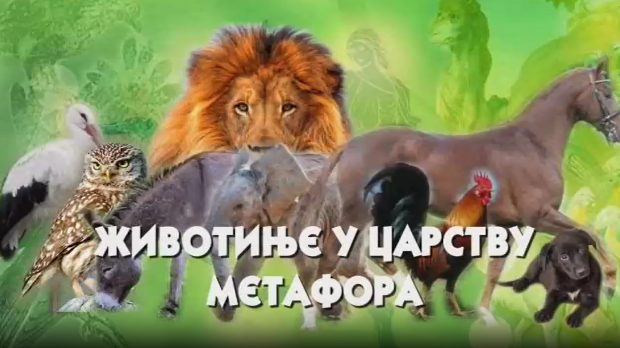 Животиње у царству метафора: Птице