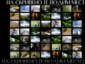 На скривено те водим место: Тања Петровић