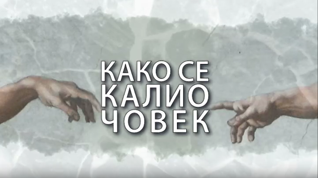 Како се калио човек: Алекса Гајић