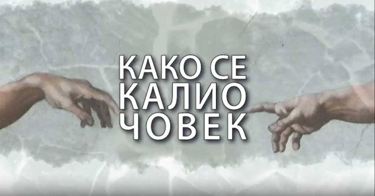 Како се калио човек: Алекса Гајић