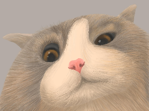 Поезија: Душан Поп Ђурђев 3