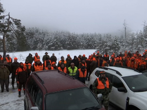 Завршен Сабор ловаца Србије – вукови остали скривени у златиборским шумама
