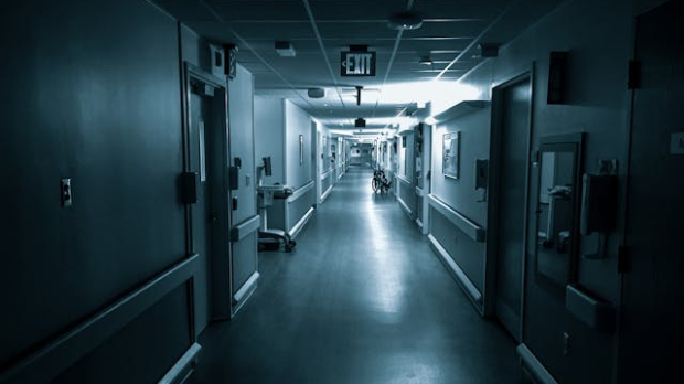 Драганa Михаиловић: Неповредивост аутономије – моралне дилеме које прате присилну хоспитализацију (2)