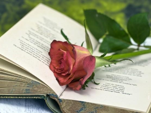 Арсен Дедић: „Мостови“