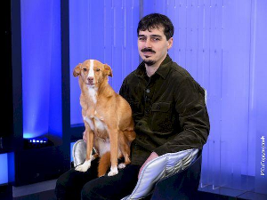 Велика илузија: Нове, старе приче