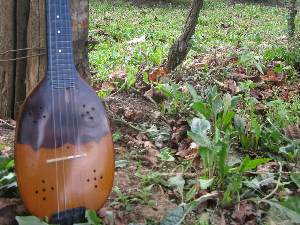 Тамбурица златна жица