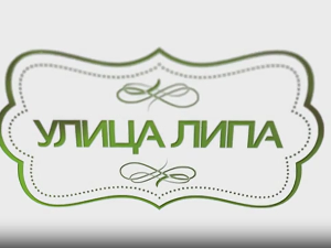 Улица липа, 21. епизода