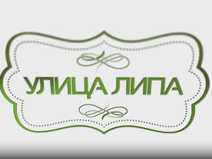 Улица липа, 24. епизода