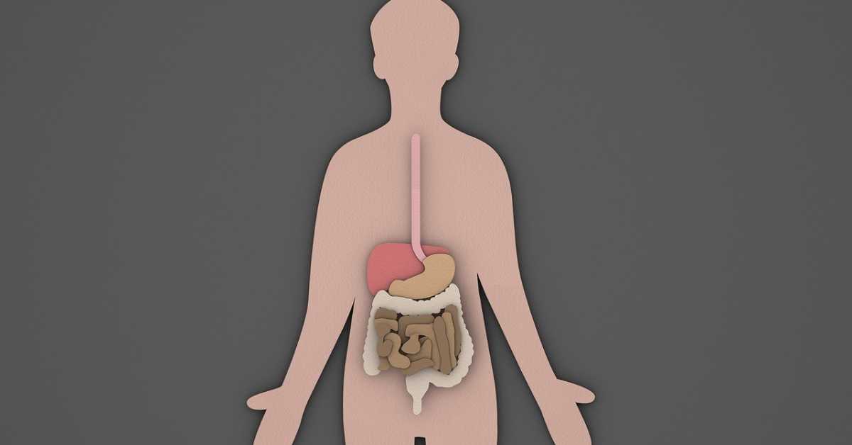 Новооткривени вирус у цревима повезан са колоректалним карциномом