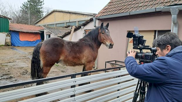 Знање имање: Домаћинске приче
