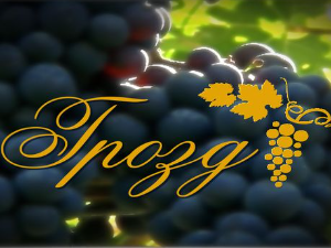 Српска вина у Москви