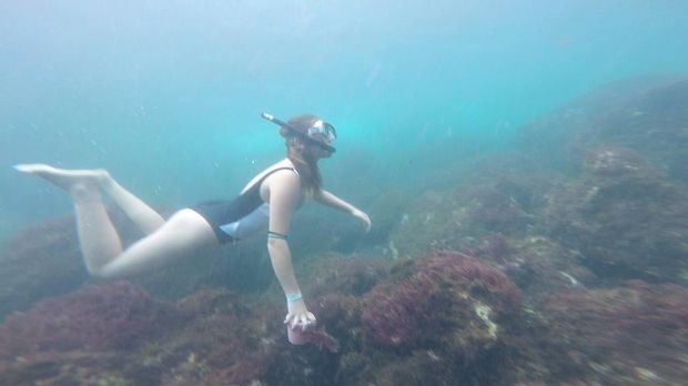 Маријин талас