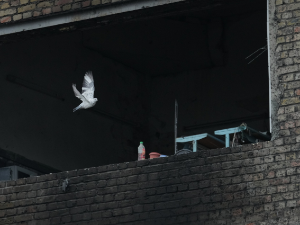 Руси погодили пијацу у Друшковки, има мртвих и рањених; наставак преговора у Абу Дабију сутра