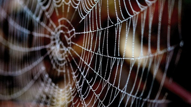 Драмски програм: Јован Лабић: Шерлок Холмс у Београду