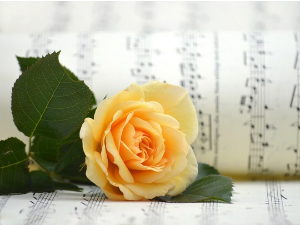 Избор за топ-листу класичне музике Радио Београда 2