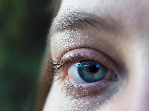 Шпански научници направили вештачку рожњачу од рибљих крљушти