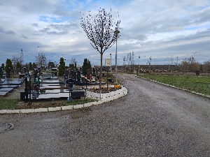 Од бесплатног гробног места до милионских гробница – колико кошта сахрањивање у Србији