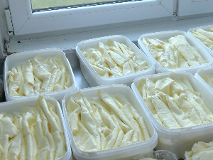 Кајмак из Жиче код Краљева стиже у све крајеве земље