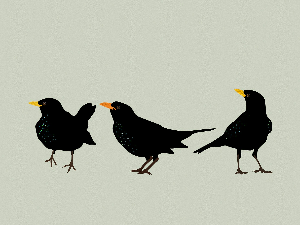 Митолошки речник – Триглав