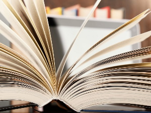 Слушајте „Пут у речи" и размишљајте о језику