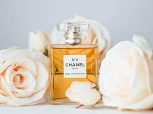 Изабел Фимејер: Коко Шанел – тајанствени парфем (13)