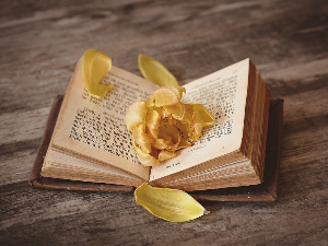 Вече Контрастове поезије