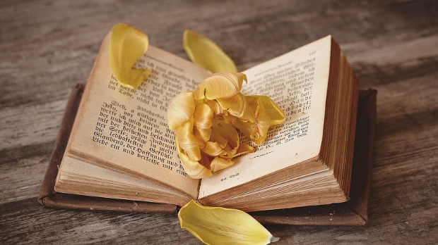 Римовање: Вече Контрастове поезије