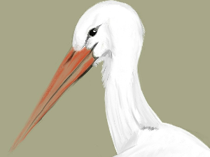 Поезија: Миленко Пајовић