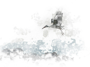 Поезија: Миленко Пајовић 2