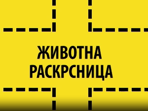 Животна раскрсница:	Крађа