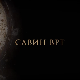 Савин врт:	Светитељ