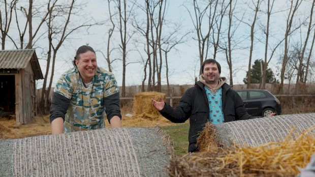 Ветеринарска мисија: Ветеринарска Потера