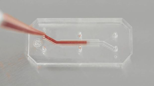 Ви и ми (Вештачка интелигенција и ми): Биомедицина у ери алгоритама