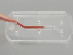 Ви и ми (Вештачка интелигенција и ми): Биомедицина у ери алгоритама