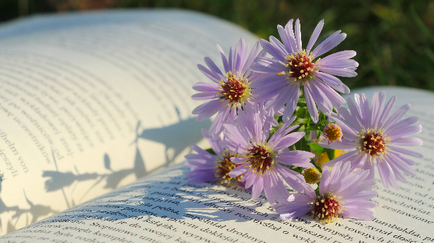 Пренајбољи српски