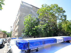 Жена осумњичена да је код Алексинца отровала псе и бацила их у бунар