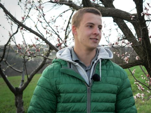 # Зона талента