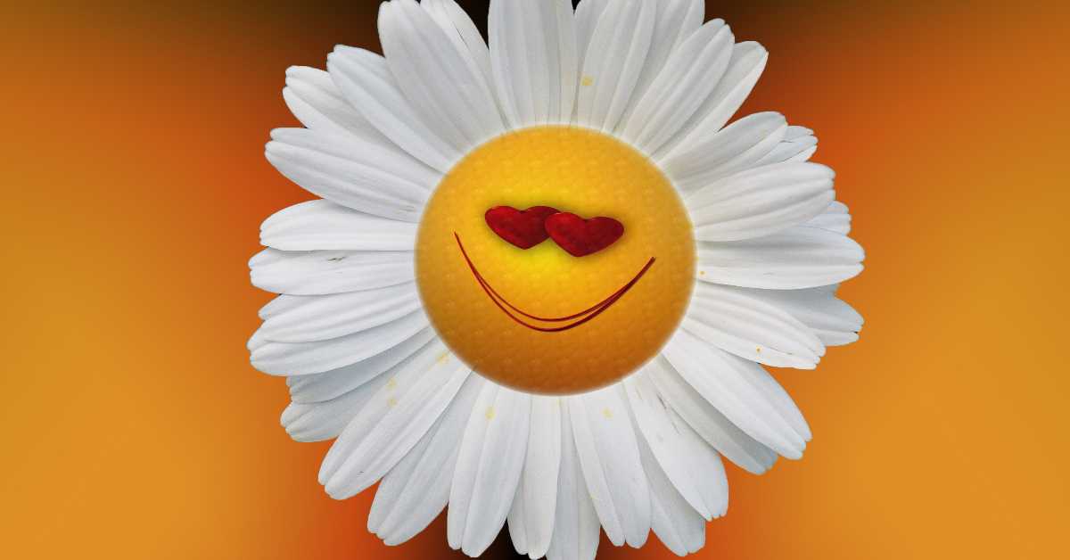 Најдужа студија о срећи на свету наставља се и после 88 година