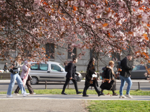 Смена сунца и облака, понегде са слабом кишом - температура до 19 степени