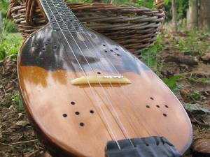 Тамбурица златна жица