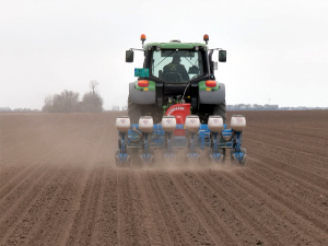  Почела сетва сећерне репе: Какве приносе очекују пољопривредници и шећеране?