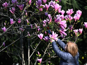 Облачно са сунчаним интервалима, највиша дневна температура до 20 степени