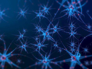 Декодирање науке: Фокусом до продуктивности