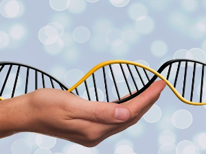 Корак ка науци