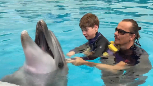 Србија на вези - портрети: Никола Радин