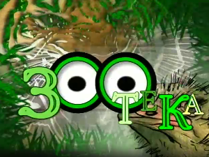 Зоотека плус: Пчела, 6 еп.