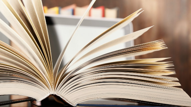 Гутенбергов одговор: Поезија Звонка Карановића и есеји Милана Кашанина