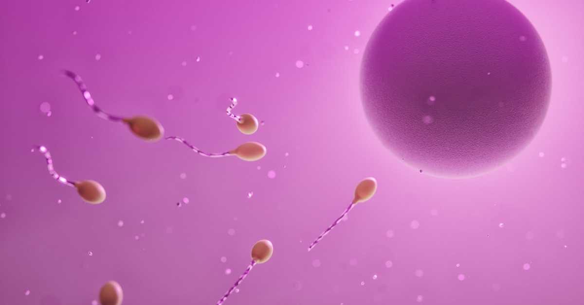 Оријентација сперматозоида у микрогравитацији могла би озбиљно утицати на путовања у свемир